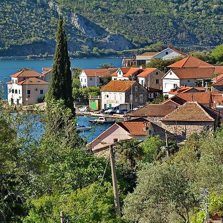 Apartments Dinko Zifra Tivat Dış mekan fotoğraf