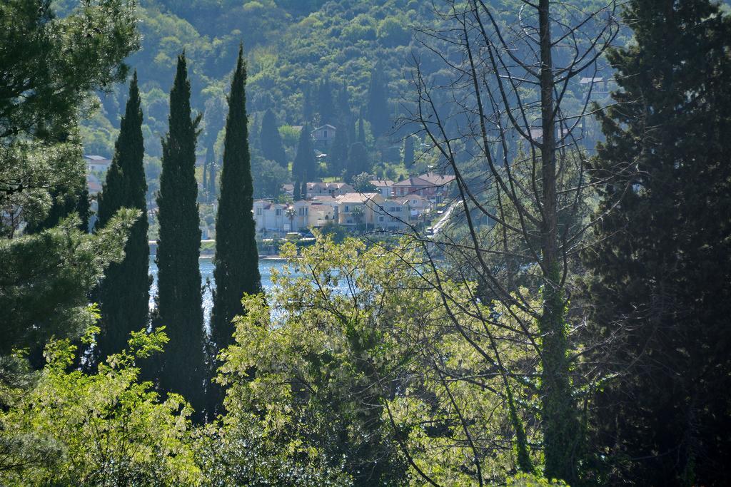 Apartments Dinko Zifra Tivat Dış mekan fotoğraf